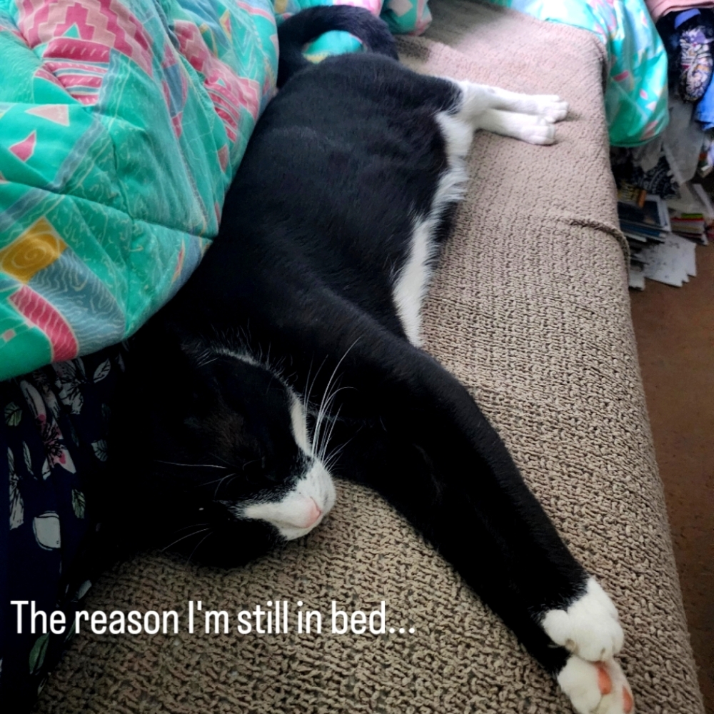 Meet your Posher, Vanessa